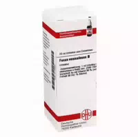 Fucus Vesiculosus Urtinktur 20 Ml Dilution