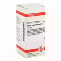 Fucus Vesiculosus D 6 Tabletten 80 st Tabletten