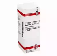 Galphimia Glauca D 6 Dilution 20 Ml Dilution