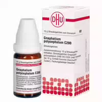 Dhu Gnaphalium Polycephalum C200