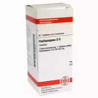 Haplopappus D 6 Tabletten 80 St Tabletten