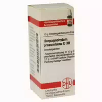 Harpagophytum Procumbens C 30 Globuli 10 g Globuli