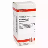 Harpagophytum Procumbens D 6 Tabletten 80 St Tabletten