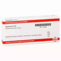 Hypericum D 6 Ampullen