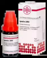 Lm Ignatia Vi Dilution 10 ml Dilution