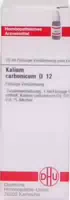 Kalium Carbonicum D 12 Dilution 20 ml Dilution