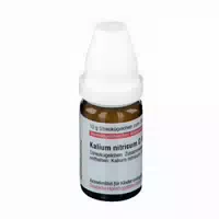 Kalium Nitricum D 6 Globuli 10 g Globuli