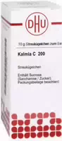 Spongia C 200 Globuli 10 g Globuli