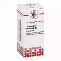 Lachnanthes Tinctoria D 12 Globuli 10 g