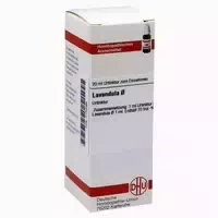Lavandula Urtinktur 20 Ml Dilution