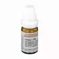 Ledum C 200 Globuli 10 g Globuli