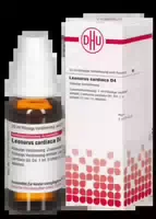 Leonurus Cardiaca D 4 Dilution 20 ml Dilution