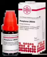 Lm Phosphorus Xviii Dilution 10 ml Dilution