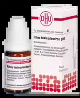 Lm Rhus Toxicodendron Vi Globuli 5 g Globuli