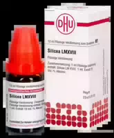 Lm Silicea Xviii Dilution 10 Ml Dilution