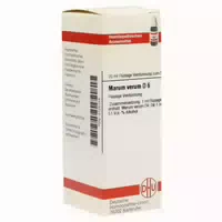 Marum Verum D 6 Dilution 20 ml
