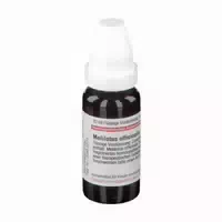 Galega Officinalis D 4 Dilution 20 ml