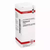 Phytolacca Urtinktur 20 Ml Dilution