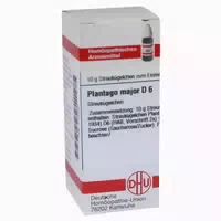 Plantago Major D 6 Globuli 10 G