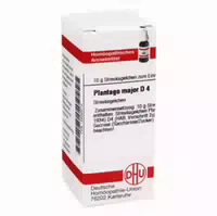 Plantago Major D 4 Globuli 10 G Globuli
