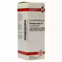 Plantago Major D 6 Dilution 20 Ml