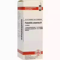 Potentilla Anserina Urtinktur 20 Ml Dilution
