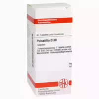 Pulsatilla D 12 Tabletten 80 st