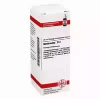 Quebracho D 2 Dilution 20 Ml Dilution
