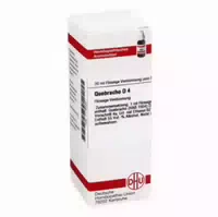 Quebracho D 4 Dilution 20 Ml Dilution
