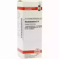 Rhododendron D 4 Dilution 20 Ml Dilution