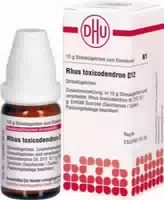 Rhus Toxicodendron D 12 Globuli 10 G Globuli
