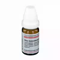 Rhus Toxicodendron D 3 Globuli 10 g Globuli