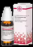 Rhus Toxicodendron D 30 Dilution 20 ml Dilution
