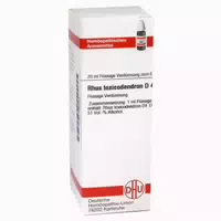 Rhus Toxicodendron D 4 Dilution 20 ml Dilution