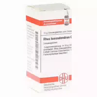 Rhus Toxicodendron C 1000 Globuli 10 G