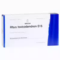 Rhus Toxicodendron D 6 Ampullen 8x1 ml