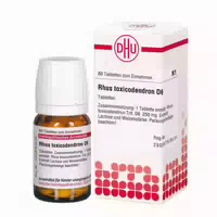 Rhus Toxicodendron D6 Tabletten 80 St