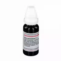 Sabal Serrulatum D 1 Dilution 20 ml Dilution