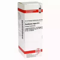 Sambucus Nigra D 6 Dilution 20 ml