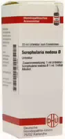 Scrophularia Nodosa Urtinktur 20 ml Dilution