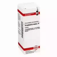 Scrophularia Nodosa Urtinktur 20 Ml Dilution