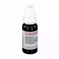 Chelidonium D 6 Dilution 20 ml Dilution