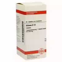 Silicea D 12 Tabletten 80 St Tabletten