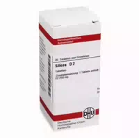 Silicea D 2 Tabletten 80 St