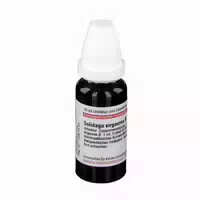 Dhu Solidago Virgaurea Urtinktur 20 ml Dilution