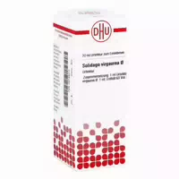 Solidago Virgaurea Urtinktur 20 Ml Dilution