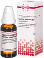 Conium D 12 Dilution 20 ml Dilution