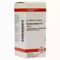 Spiraea Ulmaria D 12 Tabletten 80 st