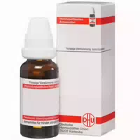 Stibium Sulfuratum Nigrum D 12 Dilution 20 ml Dilution
