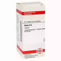 Sticta D 6 Tabletten 80 st
